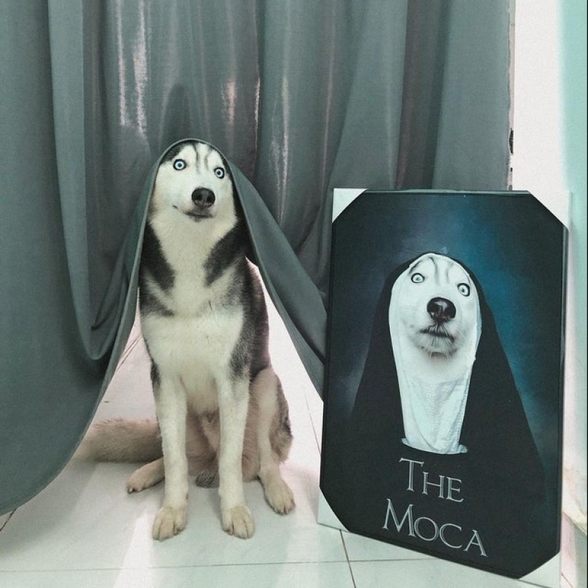 22 fotos donde el nivel de mimetismo está fuera de escala 22 fotos donde el nivel de mimetismo está fuera de escala