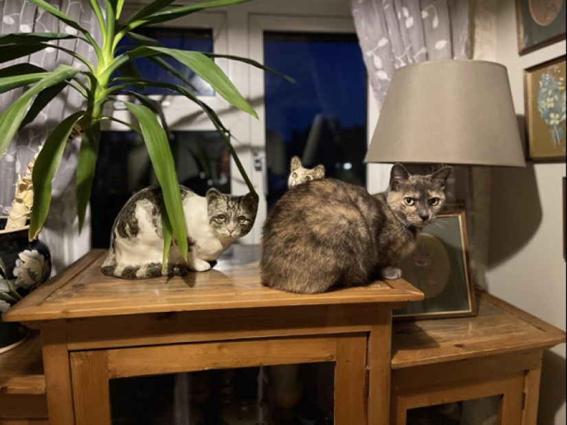 22 fotos donde no se puede saber dónde está la vida y dónde está el arte