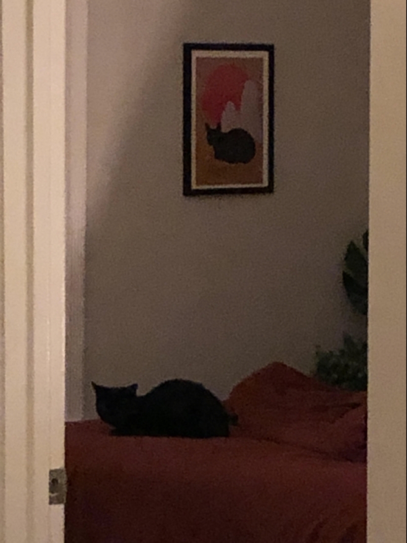 22 fotos donde no se puede saber dónde está la vida y dónde está el arte