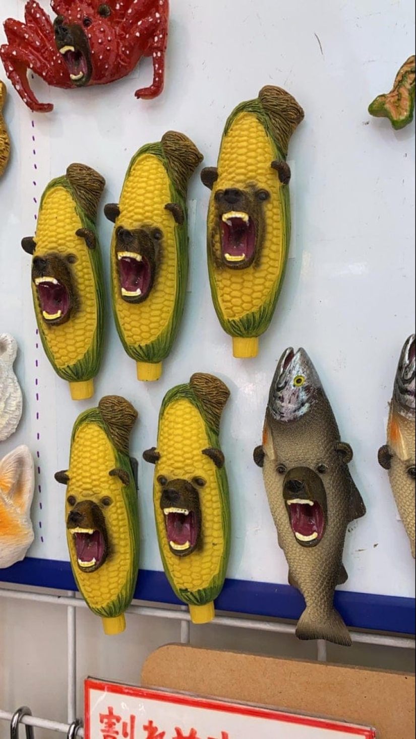 22 fotos en las que todo está tan mal que es parejo... Bien