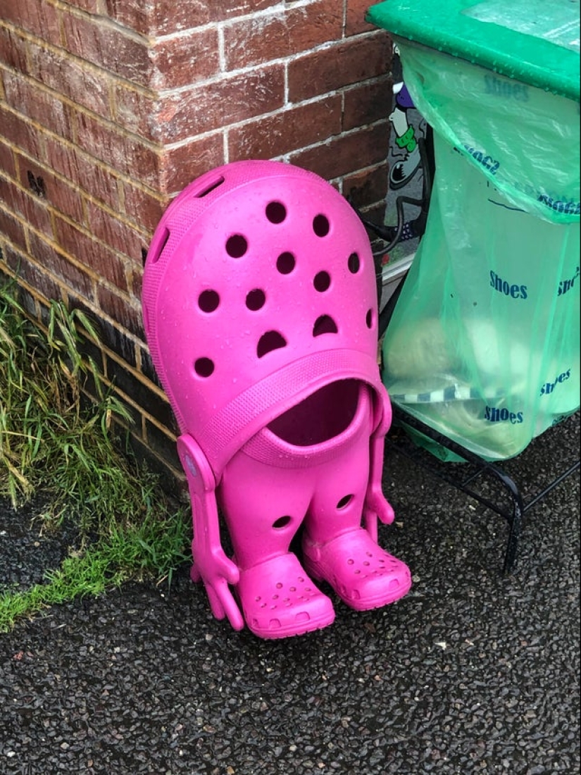 22 fotos en las que todo está tan mal que es parejo... Bien