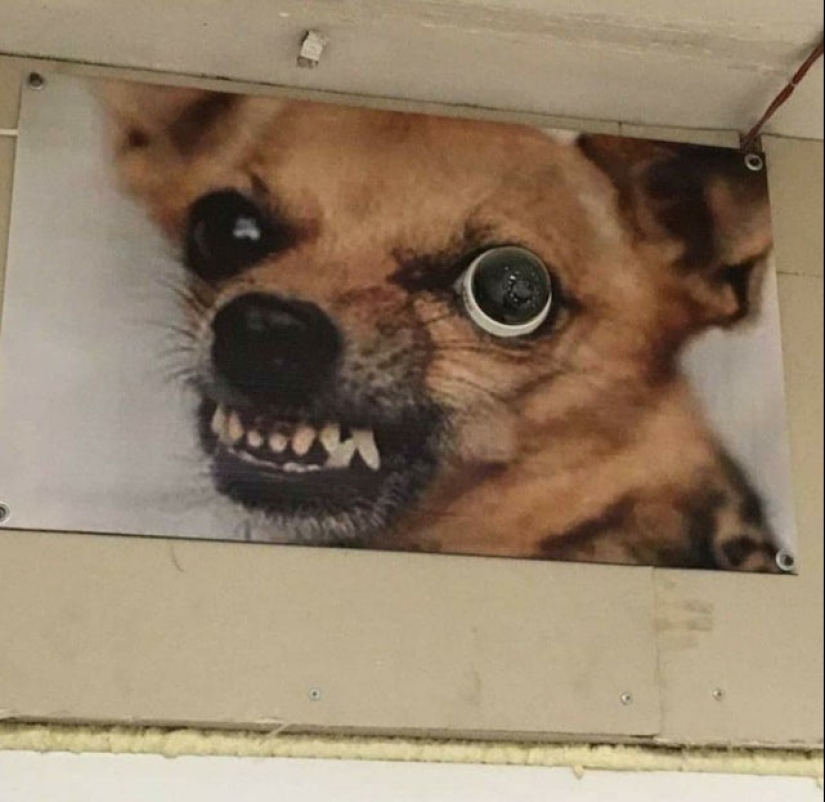 22 fotos en las que todo está tan mal que es parejo... Bien