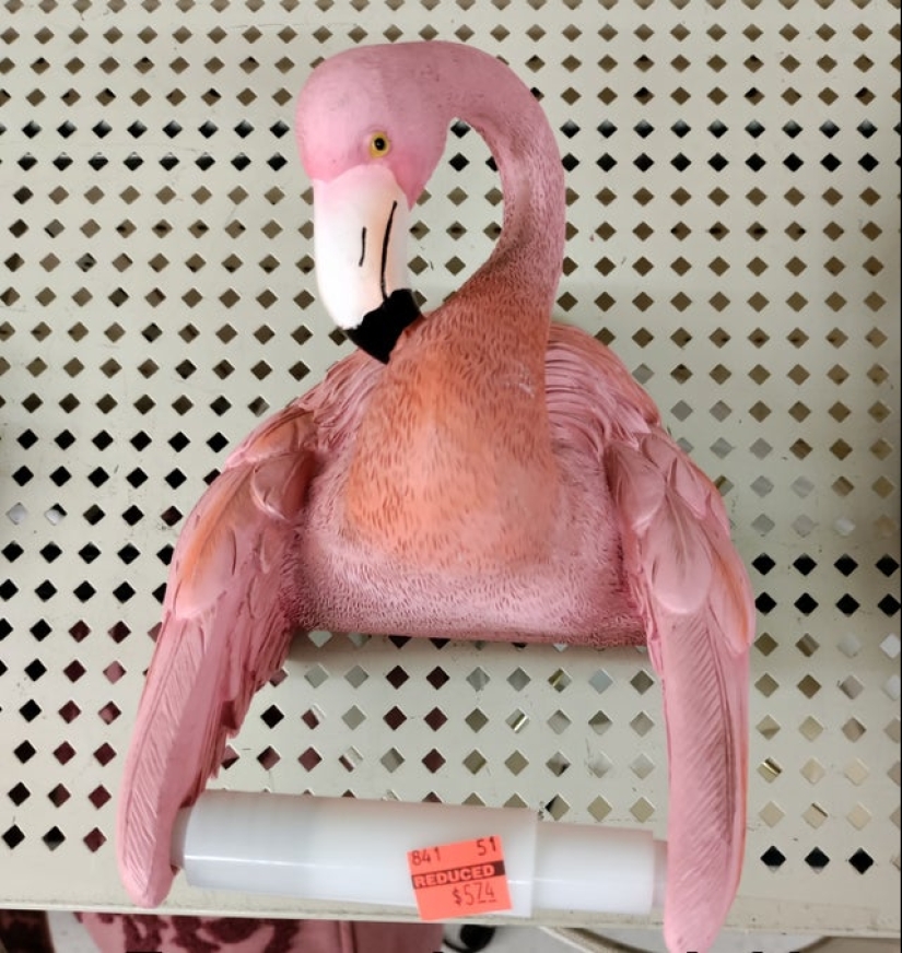 22 fotos en las que todo está tan mal que es parejo... Bien