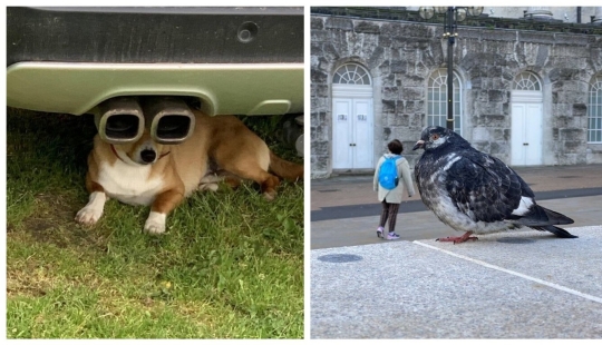 22 fotos increíbles donde el ángulo decide