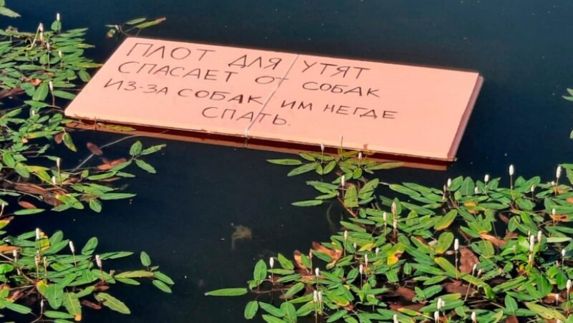 22 fotos increíbles que solo se podían tomar en Rusia 22 fotos increíbles que solo se podían tomar en Rusia