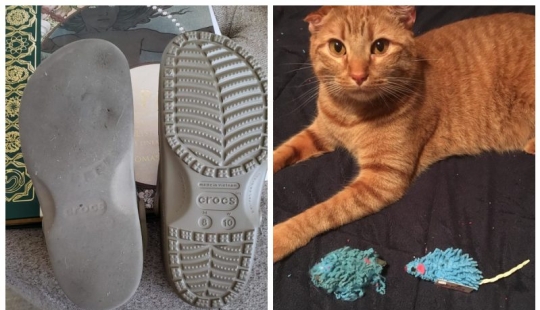 22 fotos que muestran todo el tiempo