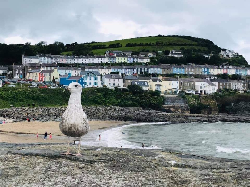 22 fotos que parecen haber sido tomadas especialmente para romper el cerebro 22 fotos que parecen haber sido tomadas especialmente para romper el cerebro