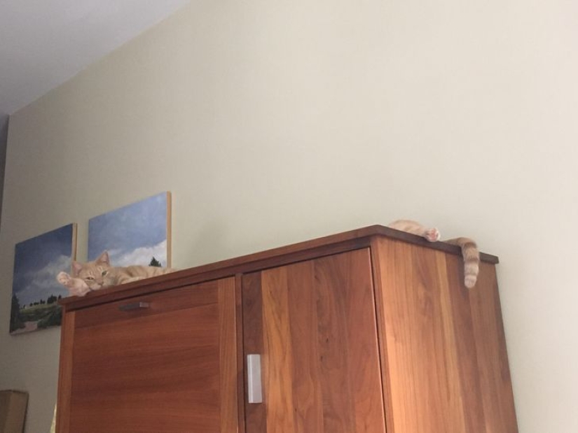 22 fotos que parecen haber sido tomadas especialmente para romper el cerebro 22 fotos que parecen haber sido tomadas especialmente para romper el cerebro