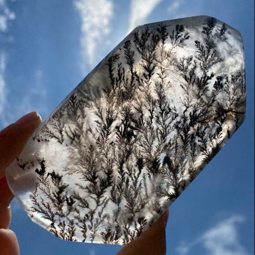 22 fotos que representan cosas increíbles que realmente existen