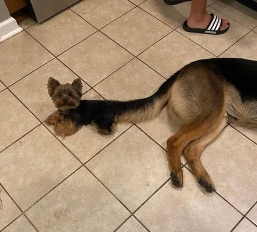 22 fotos que se convertirán en un verdadero rebus para los ojos 22 fotos que se convertirán en un verdadero rebus para los ojos