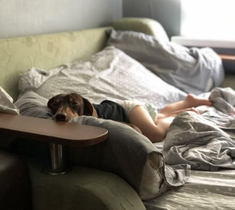 22 fotos que se convertirán en un verdadero rebus para los ojos 22 fotos que se convertirán en un verdadero rebus para los ojos