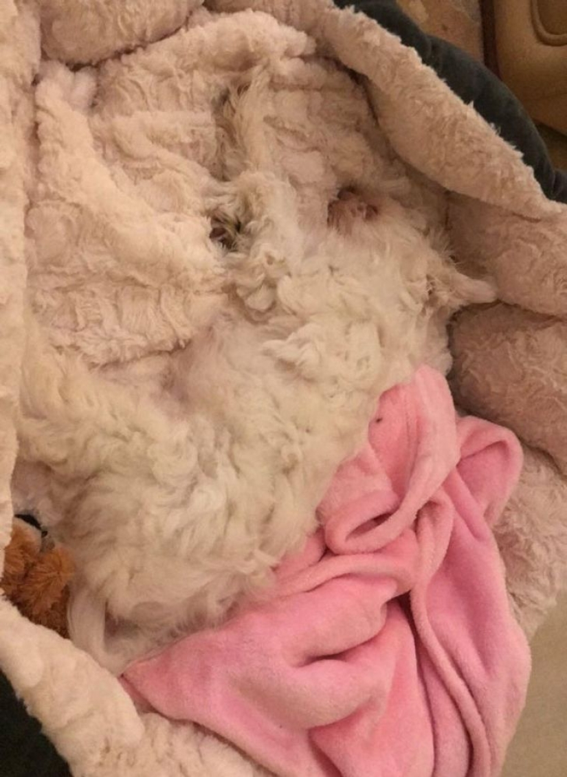 22 fotos que se convertirán en un verdadero rebus para los ojos 22 fotos que se convertirán en un verdadero rebus para los ojos