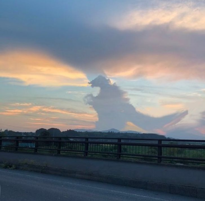 22 fotos que se convertirán en un verdadero rebus para los ojos 22 fotos que se convertirán en un verdadero rebus para los ojos