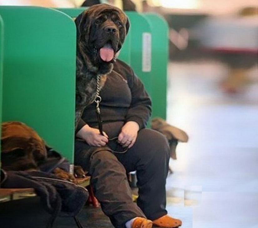 22 fotos que se convertirán en un verdadero rebus para los ojos 22 fotos que se convertirán en un verdadero rebus para los ojos