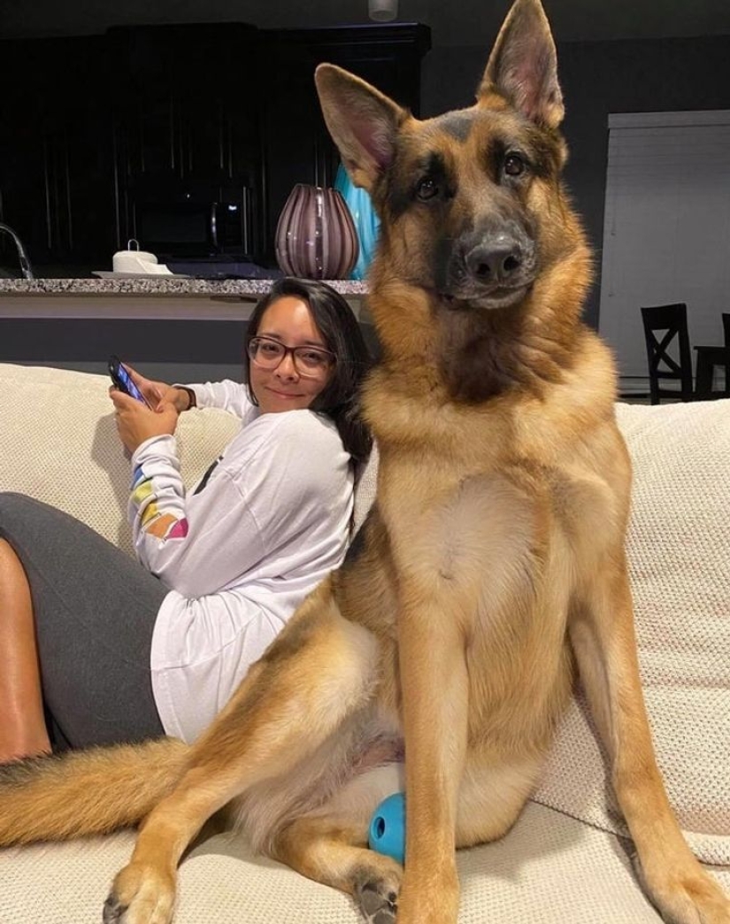 22 fotos que se convertirán en un verdadero rebus para los ojos 22 fotos que se convertirán en un verdadero rebus para los ojos