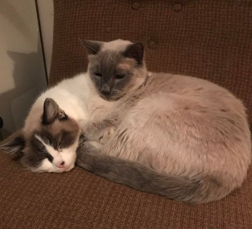 22 fotos que se convertirán en un verdadero rebus para los ojos 22 fotos que se convertirán en un verdadero rebus para los ojos