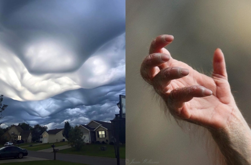 22 fotos que te ayudarán a apreciar la grandeza de la Madre Naturaleza 22 fotos que te ayudarán a apreciar la grandeza de la Madre Naturaleza