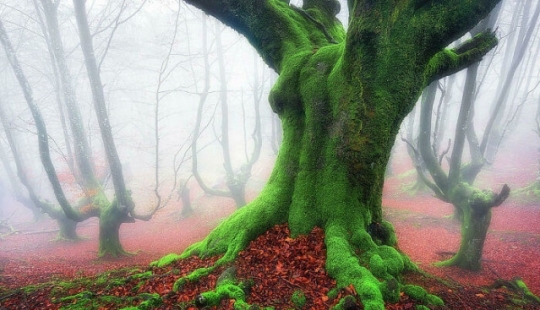 22 fotos reales que parecen imágenes fijas de películas o capturas de pantalla de videojuegos 22 fotos reales que parecen imágenes fijas de películas o capturas de pantalla de videojuegos