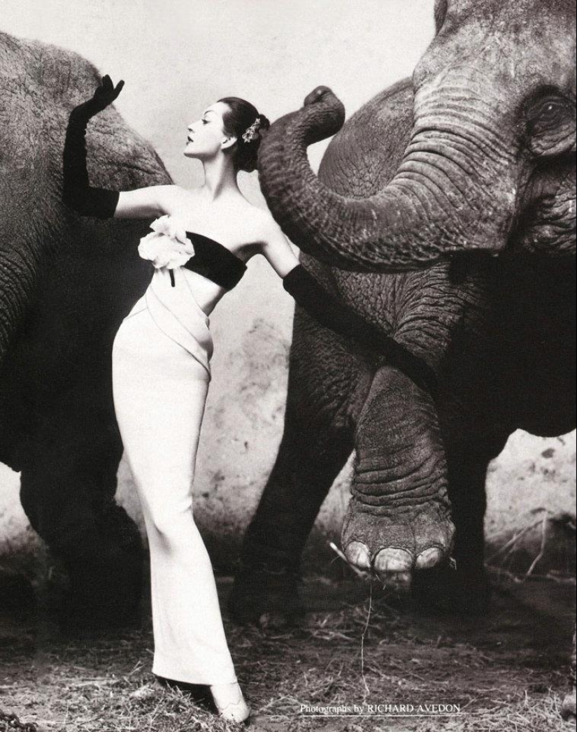 22 fotos retro de modelos de años pasados 22 fotos retro de modelos de años pasados