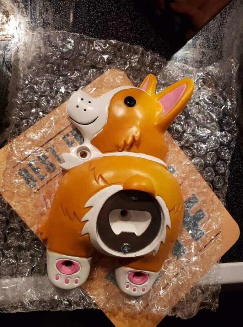 22 fotos sobre lo que sucede cuando el mal gusto se combina con un buen rendimiento 22 fotos sobre lo que sucede cuando el mal gusto se combina con un buen rendimiento