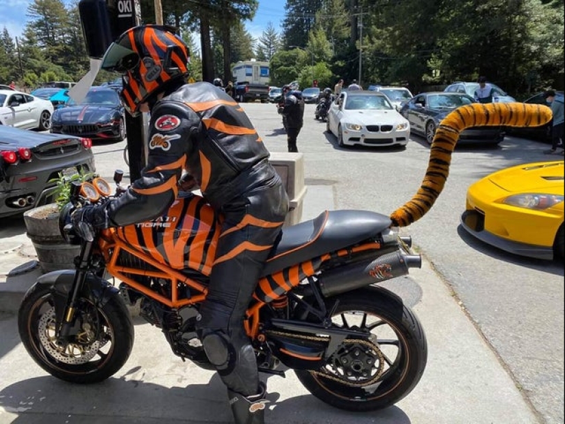 22 fotos sobre lo que sucede cuando el mal gusto se combina con un buen rendimiento 22 fotos sobre lo que sucede cuando el mal gusto se combina con un buen rendimiento