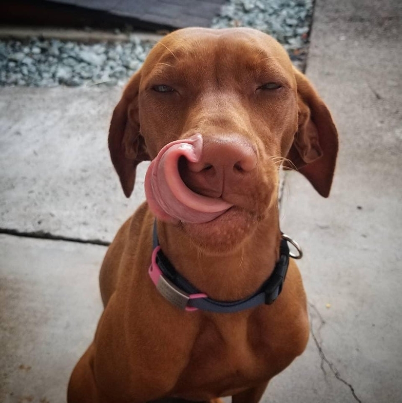 22 fotos tomadas en el momento más oportuno 22 fotos tomadas en el momento más oportuno