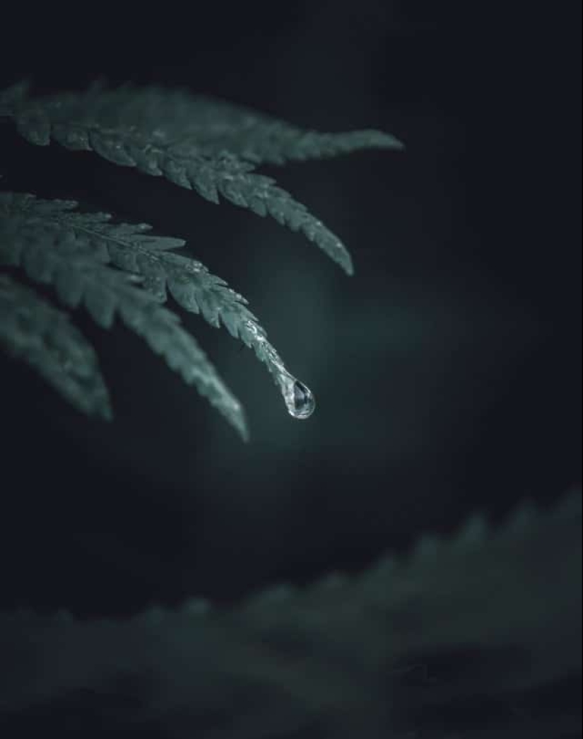 22 fotos tomadas en el momento más oportuno 22 fotos tomadas en el momento más oportuno