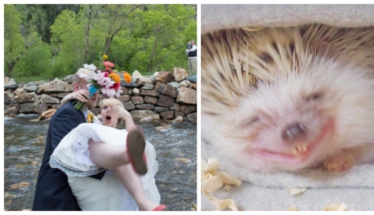 22 fotos tomadas en el momento más oportuno