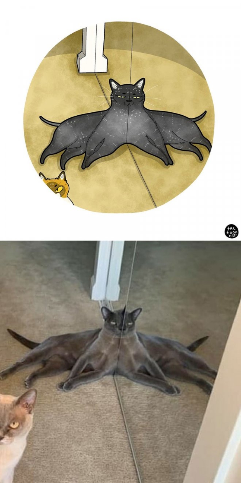 22 funny cat photos from the web that were turned into cartoon illustrations 22 funny cat photos from the web that were turned into cartoon illustrations