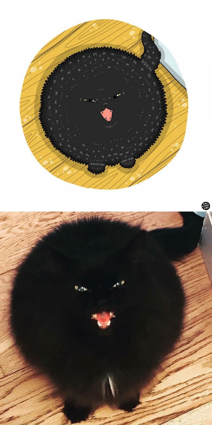 22 funny cat photos from the web that were turned into cartoon illustrations 22 funny cat photos from the web that were turned into cartoon illustrations