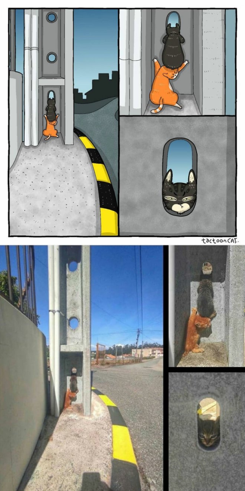 22 funny cat photos from the web that were turned into cartoon illustrations 22 funny cat photos from the web that were turned into cartoon illustrations