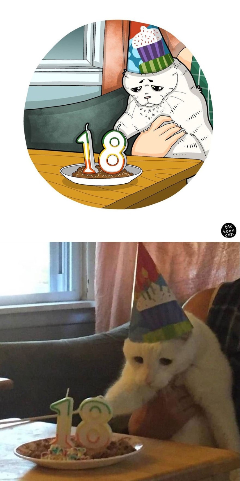 22 funny cat photos from the web that were turned into cartoon illustrations 22 funny cat photos from the web that were turned into cartoon illustrations