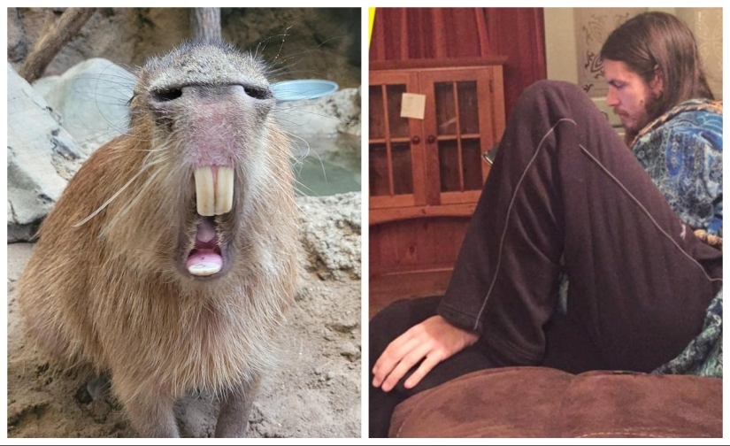 22 funny photos from the "it seemed" series that are worth looking at twice 22 funny photos from the "it seemed" series that are worth looking at twice