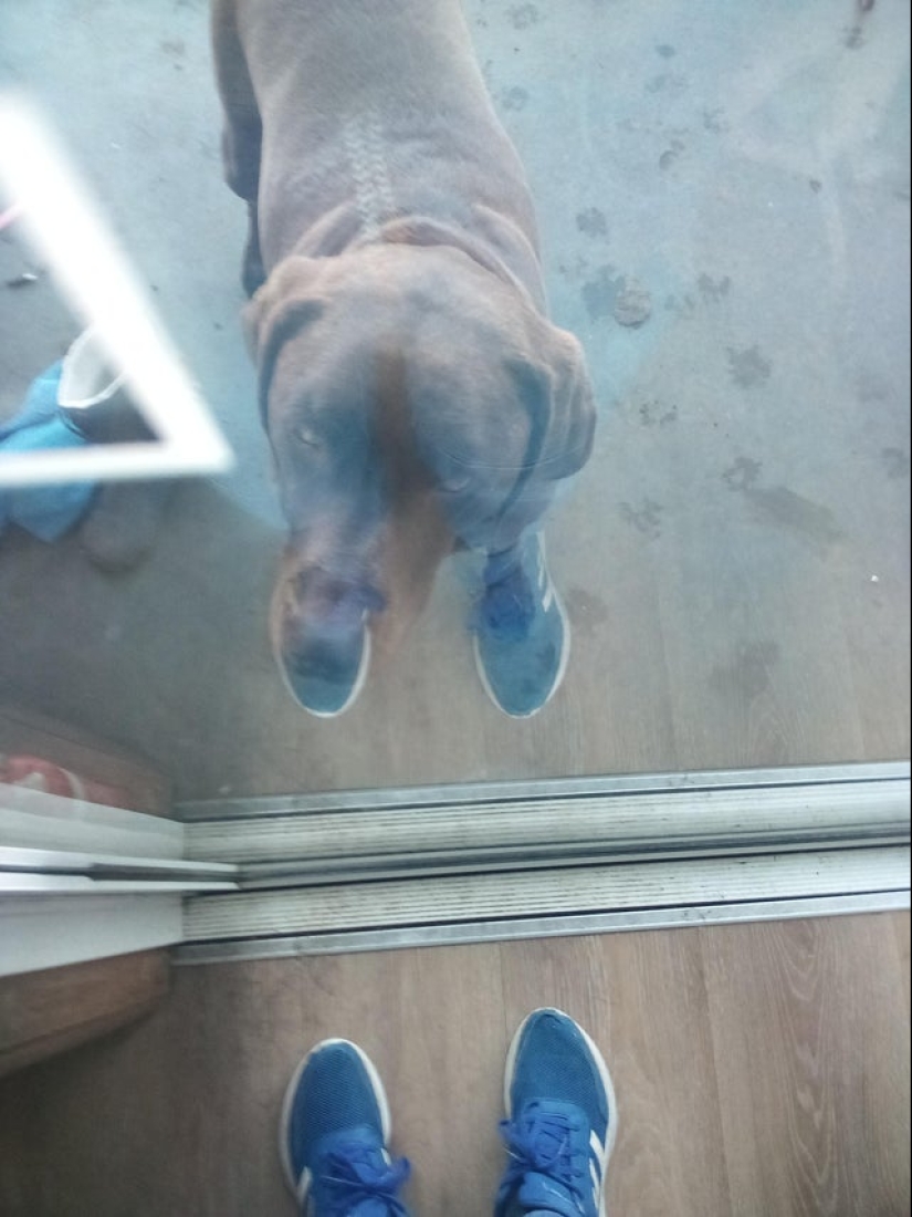 22 funny photos from the "it seemed" series that are worth looking at twice 22 funny photos from the "it seemed" series that are worth looking at twice