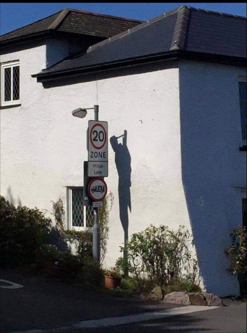 22 funny photos from the "it seemed" series that are worth looking at twice 22 funny photos from the "it seemed" series that are worth looking at twice