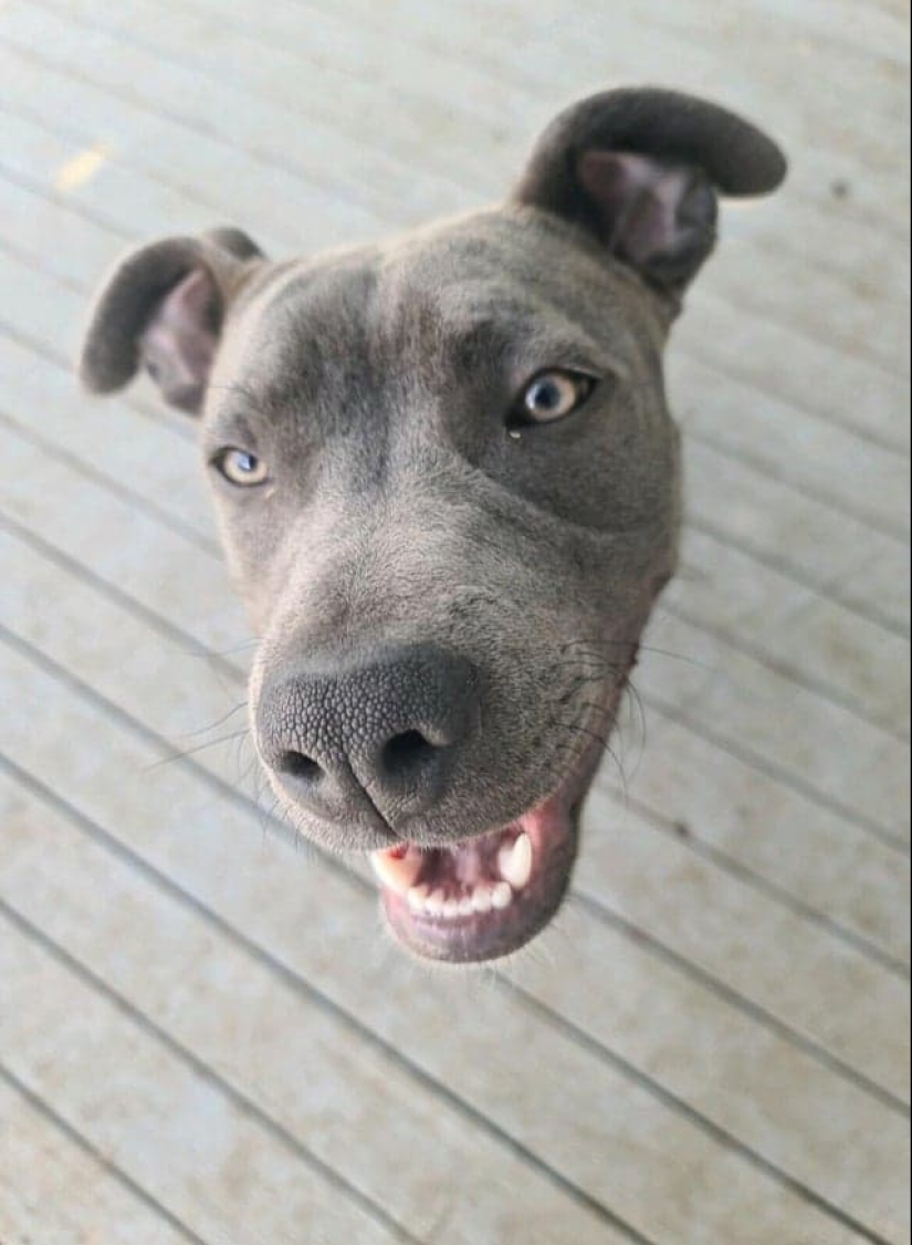 22 funny photos from the "it seemed" series that are worth looking at twice 22 funny photos from the "it seemed" series that are worth looking at twice