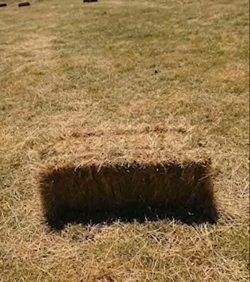 22 funny photos from the "it seemed" series that are worth looking at twice 22 funny photos from the "it seemed" series that are worth looking at twice