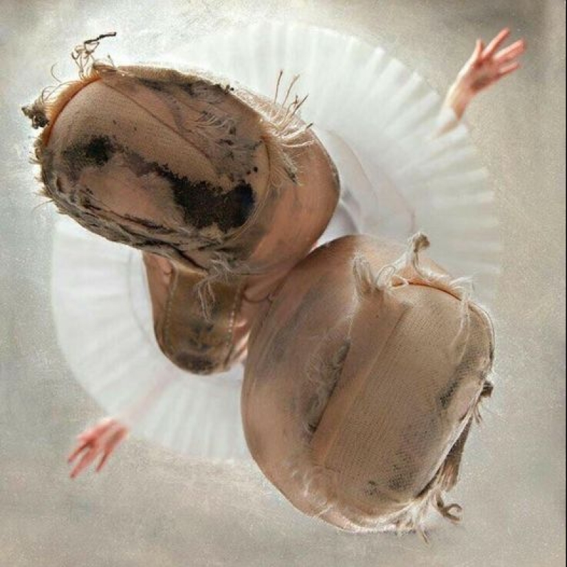 22 funny photos from the "it seemed" series that are worth looking at twice 22 funny photos from the "it seemed" series that are worth looking at twice