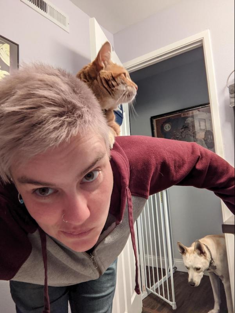 22 funny photos of animals that do whatever they want 22 funny photos of animals that do whatever they want