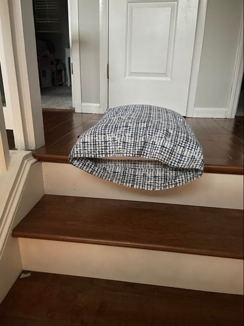 22 funny photos that are familiar to any parent 22 funny photos that are familiar to any parent