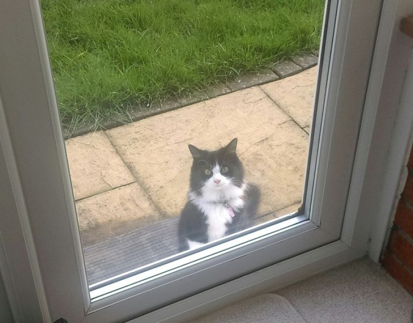 22 increíbles sorpresas que las casas antiguas presentaron a sus residentes