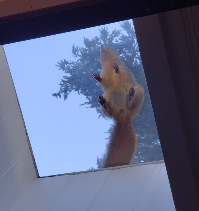 22 increíbles sorpresas que las casas antiguas presentaron a sus residentes