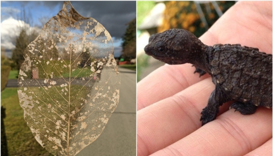 22 incredible finds that people couldn't help but share online 22 incredible finds that people couldn't help but share online