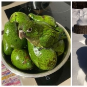 22 inedible items that somehow cause an appetite