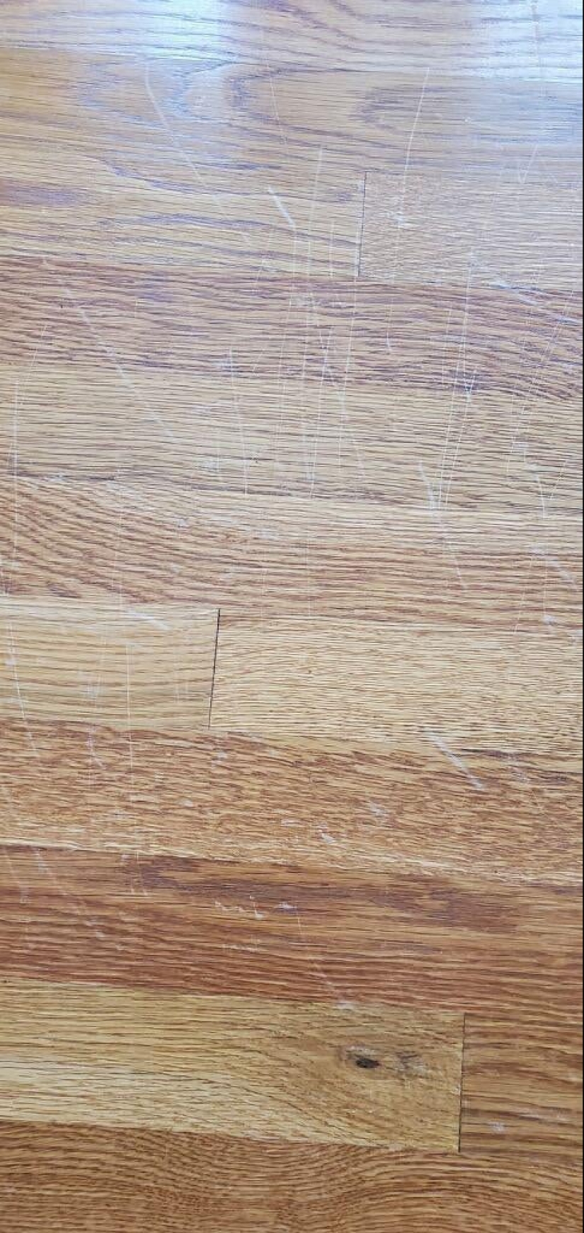 22 las situaciones más locas que enfrentan los inquilinos de apartamentos