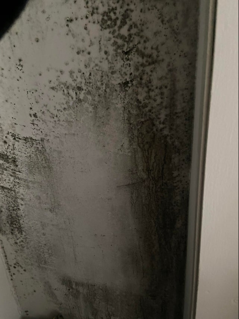 22 las situaciones más locas que enfrentan los inquilinos de apartamentos