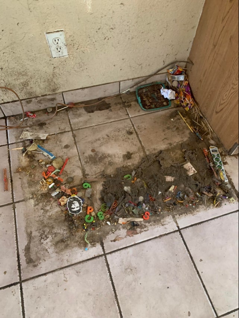 22 las situaciones más locas que enfrentan los inquilinos de apartamentos