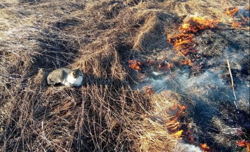 22 maravilloso ejemplo de la apatía de nivel 80