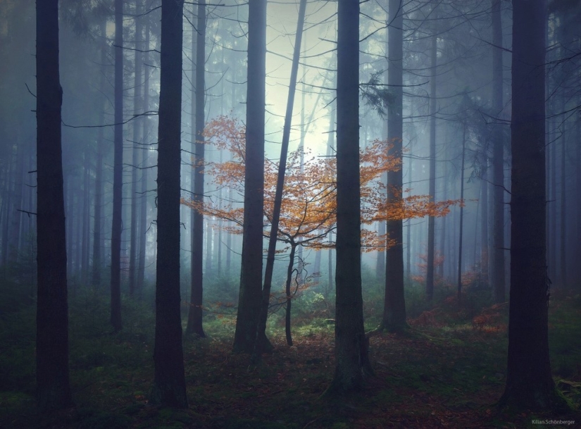 22 paisajes increíbles inspirados en los cuentos de los Hermanos Grimm