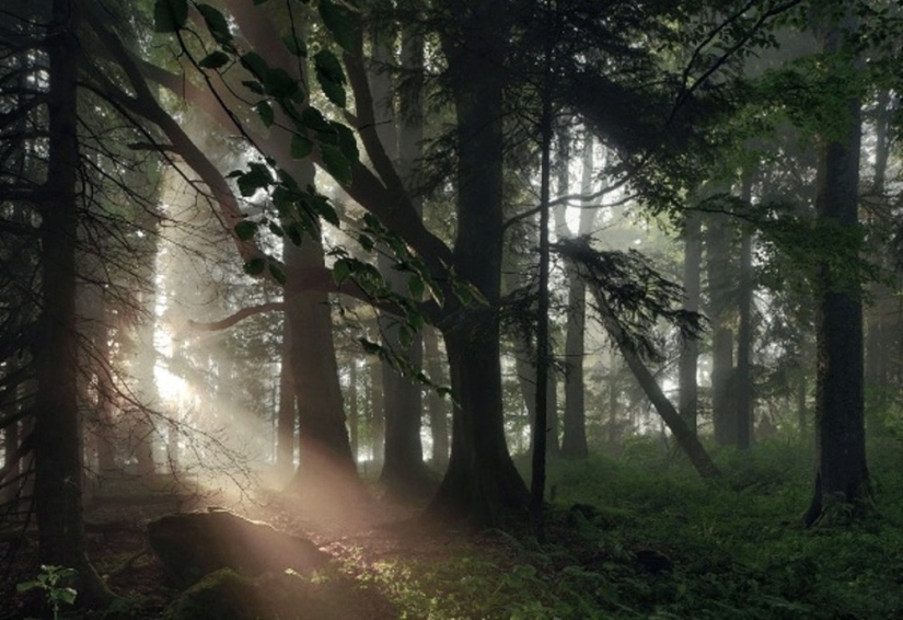 22 paisajes increíbles inspirados en los cuentos de los Hermanos Grimm